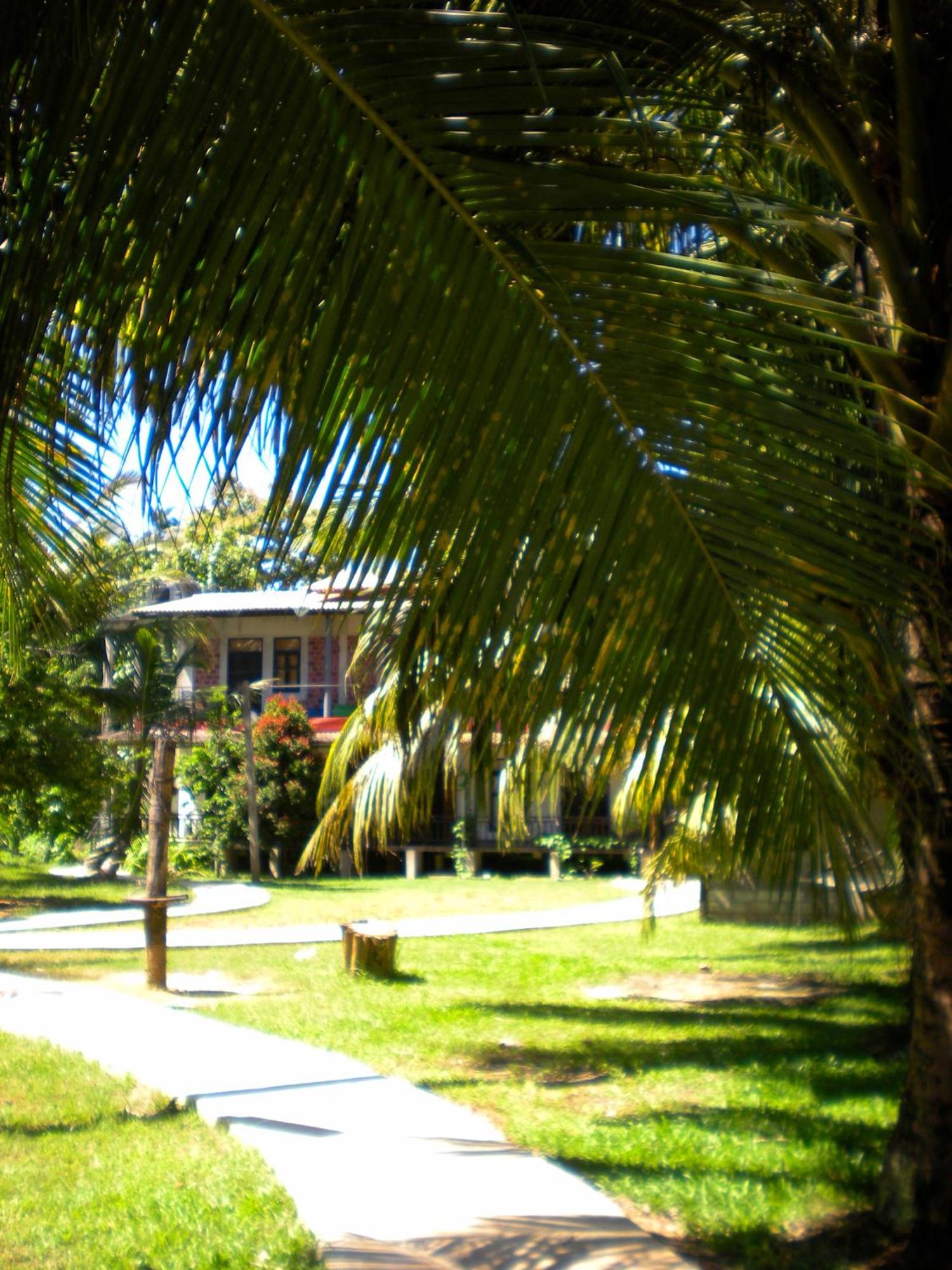Chill Vibes Hiriketiya Hostel Dikwella Bagian luar foto
